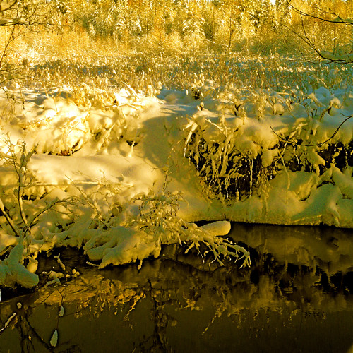 Awakening… a little story!!! / Réveil… une petite histoire!!! :)))