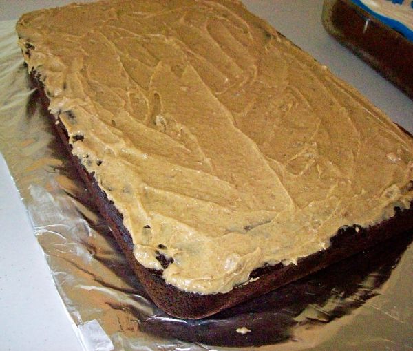 Nutty Night Owl Cake