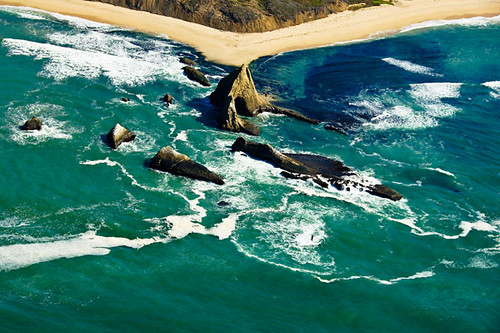 Take the lead in the introduction of a new order of things