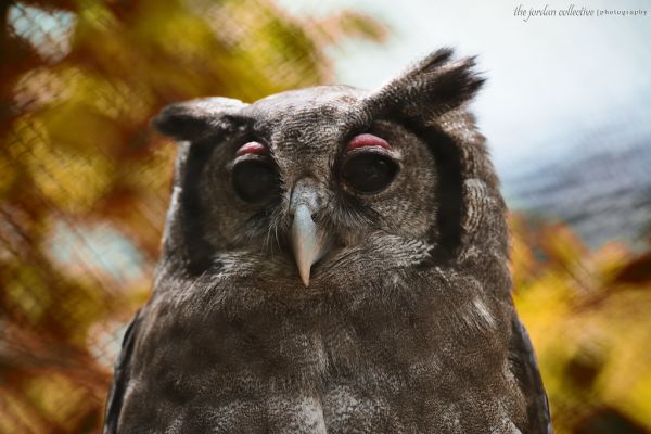 Nikon D800 Test Shot