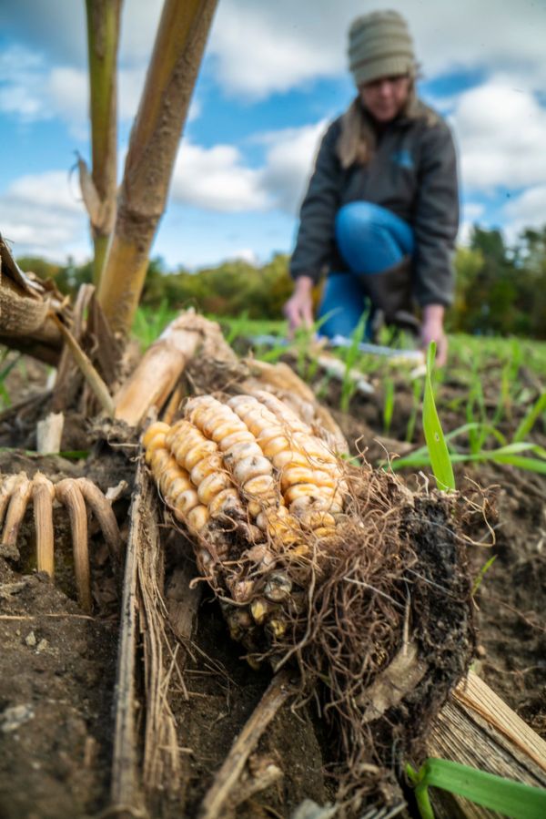 20191018-NRCS-LSC-0502