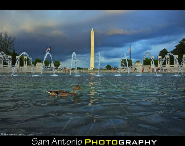 Oh Duck! National World War II Memorial - Washington, D.C.