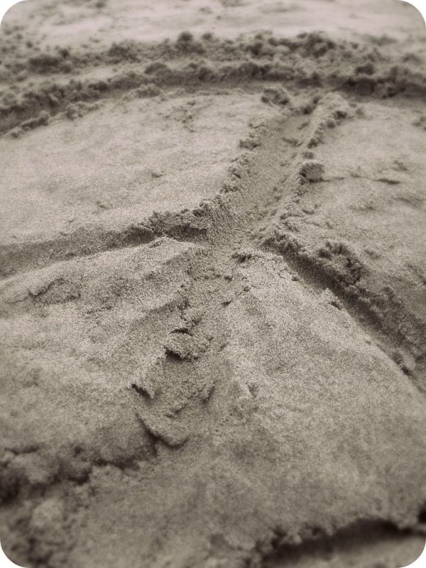 'I simply can't build my hopes on a foundation of confusion, misery and death... I think... peace and tranquillity will return again.' Anne Frank