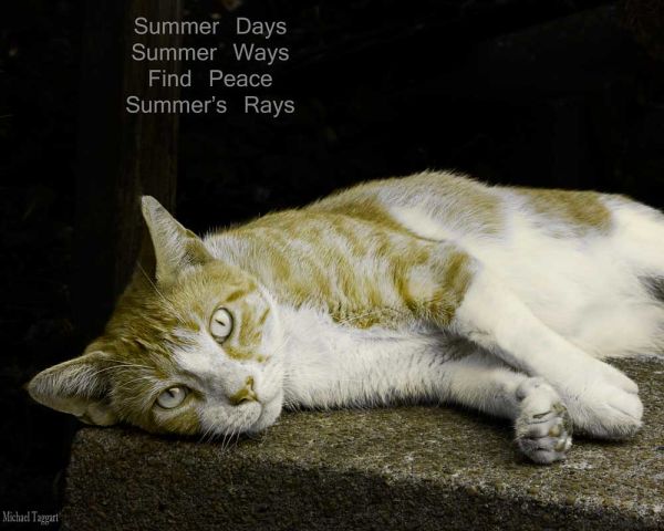 Farewell Summer - Hello Autumn!