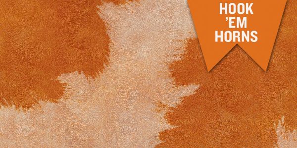 UT Austin Twitter Header Image