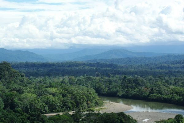 Ecuadorian Amazon rain forest, looking toward the Andes