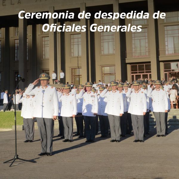 WhatsApp Image 2019-12-16 at 17.14.24