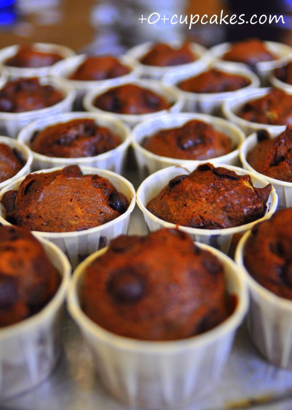choc chip cupcakes ~totcupcakes.com~