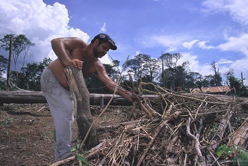 Lorival cleans land in the Amazon
