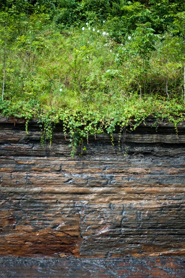 20110712-RD-LSC-0189