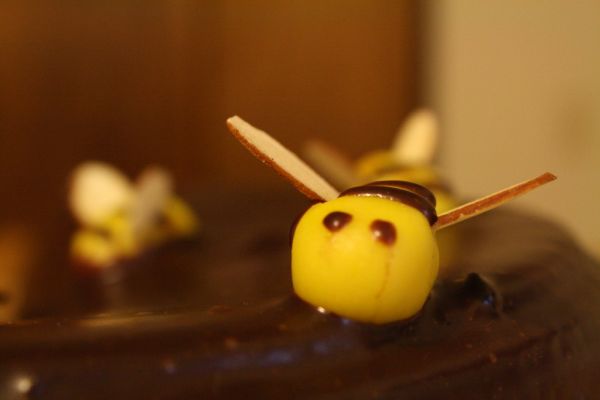 Annie Lou's Honey Bee Birthday Cake