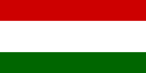 Flag of Tajikistan without a crown and stars