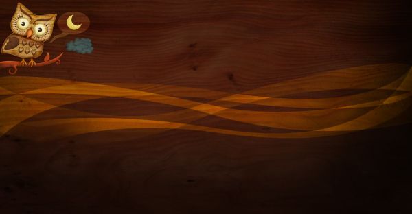 Owl Twitter Background