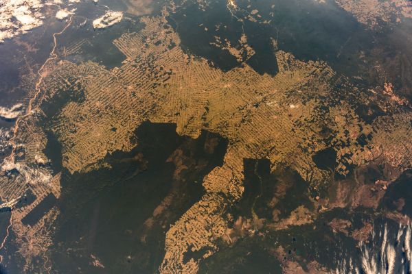 Amazon rainforest