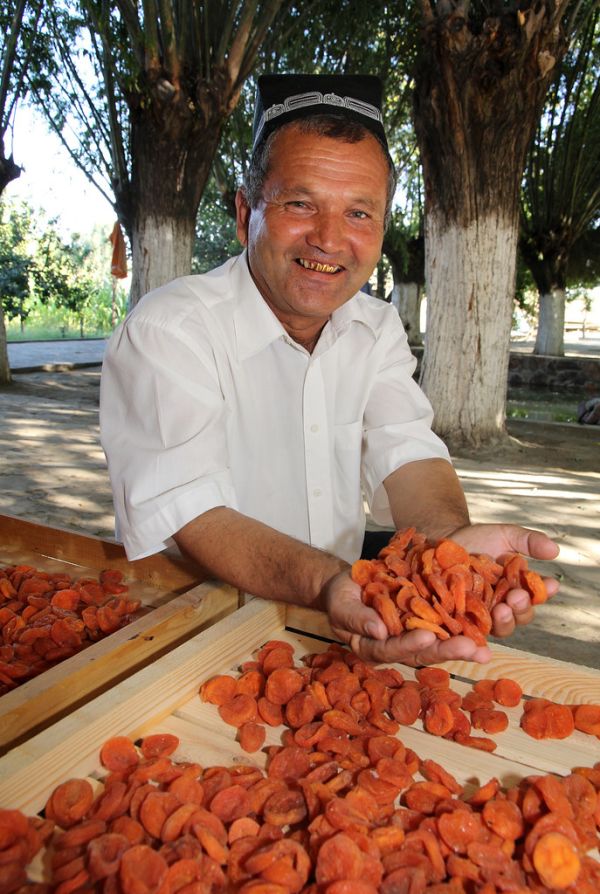 Preparing apricots in Tajikistan