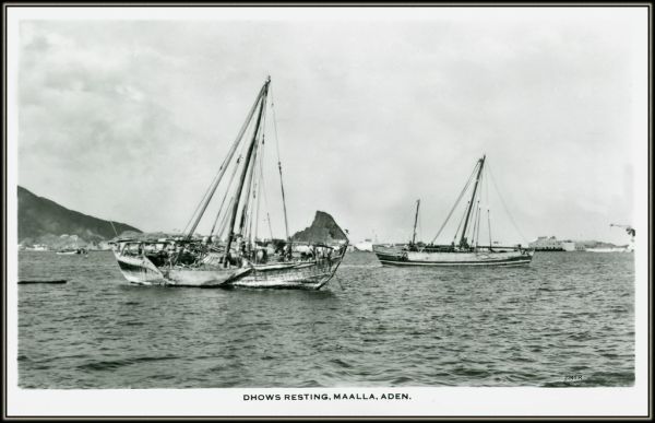 Dhows resting Ma'alla Aden, Arab Dhows at anchor in the harbour at Maalla (kupljena) 2341 R M. Yahooda Universal Bazaar Steamer-Point Aden Post Card 2341 R Aden