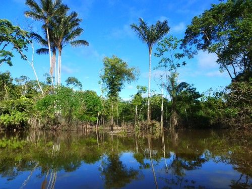 Amazon River, Peru