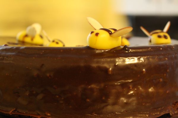 Annie Lou's Honey Bee Birthday Cake