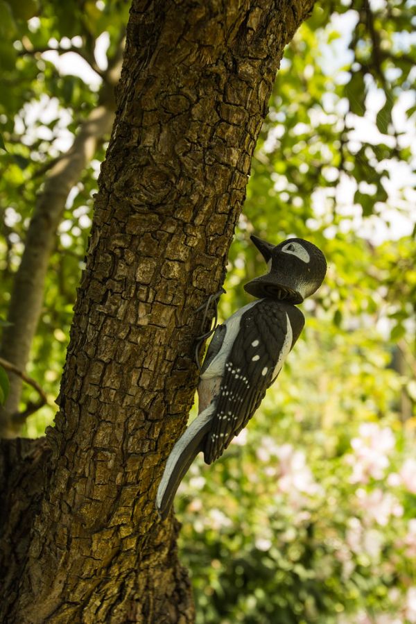 La Ronde - House D-9