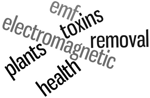 I'm getting plants - yah to less toxins and bad EMF!