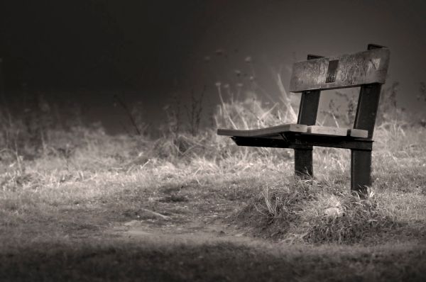 Nikon 200mm Low Light Test shot