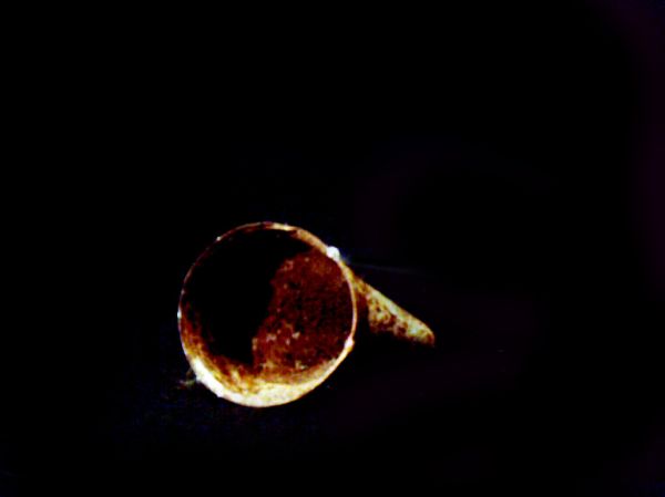 Rusty Funnel