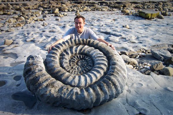 10 years ago today I was filming ammonites with Steve Leonard for Journey of Life - my 1st BBC film shoot.