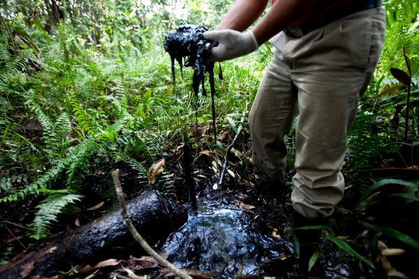 Chevron's Toxic Legacy in Ecuador's Amazon