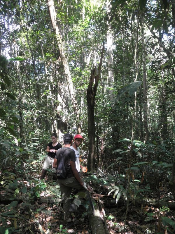 Amazon Lidar