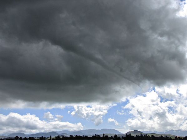 Waddington's Funnel/Tornado
