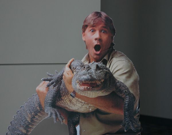 Steve Irwin, 'Crocodile Hunter'