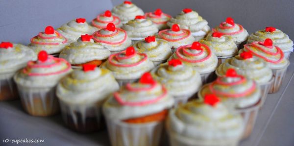 m-092 ~totcupcakes.com~