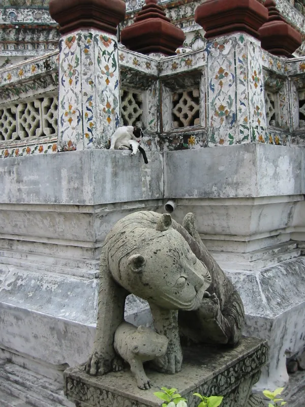 Wat Arun cats