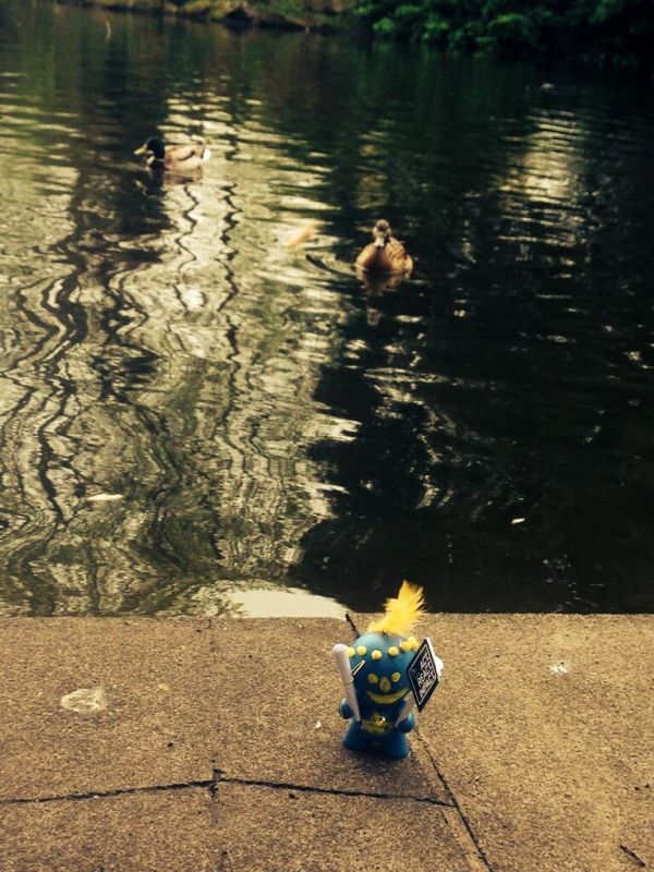 Cillian going for a swim with the ducks in St Stephens Green