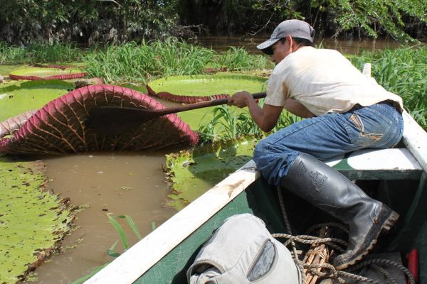 Colombia: Amazon Jungle Tour - Day 2