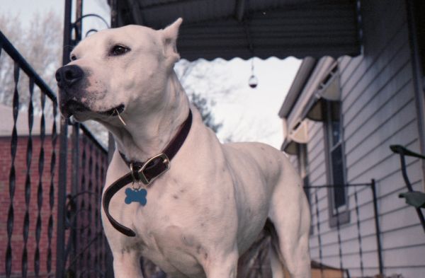 Yashica Electro 35 GSN Test Shot 01