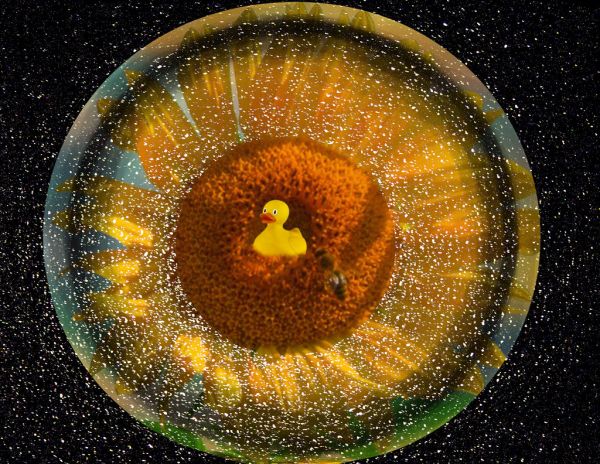 Reality is Secondary