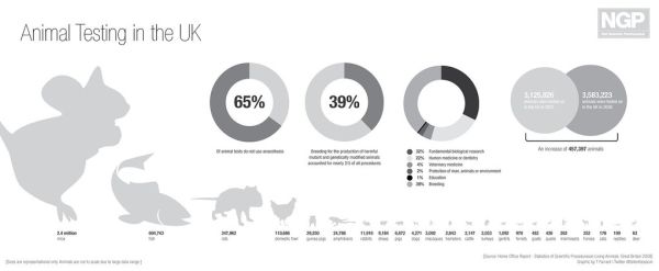 Animal Testing in the UK