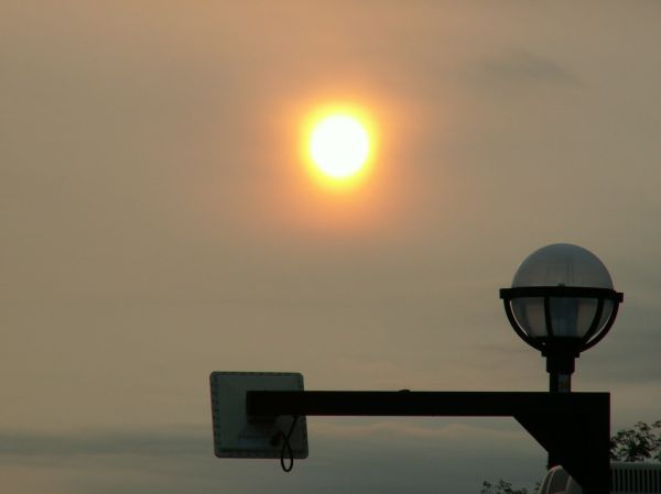 Dawn by Cardiology Building