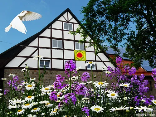 Solar Power in Germany