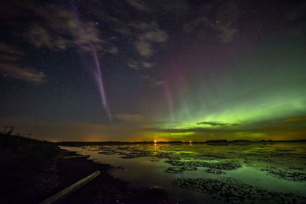 Citizen scientist images of STEVE