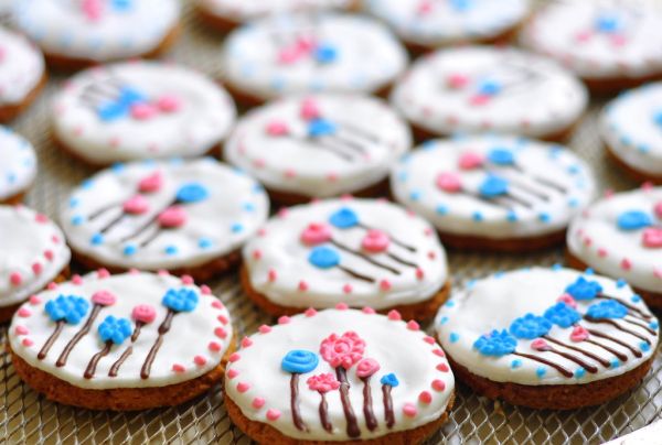 sc - 024 ~totcupcakes.com~