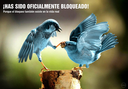 Twitter en la vida real