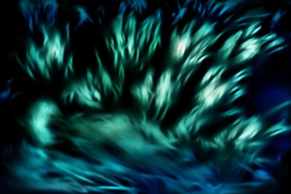 Shadows in my nightmare