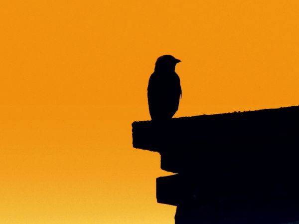 The connection between our discomfort zone, innovation and happiness