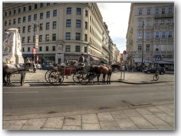 We will wait at the Cafe Mozart