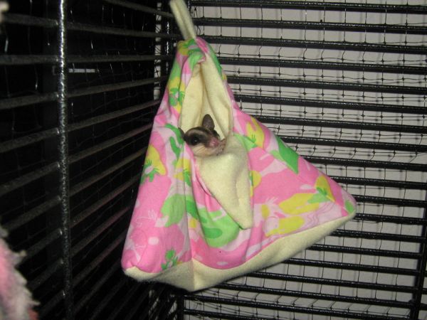 Fw: New order - Already received!