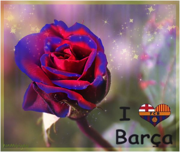 la rosa del barça