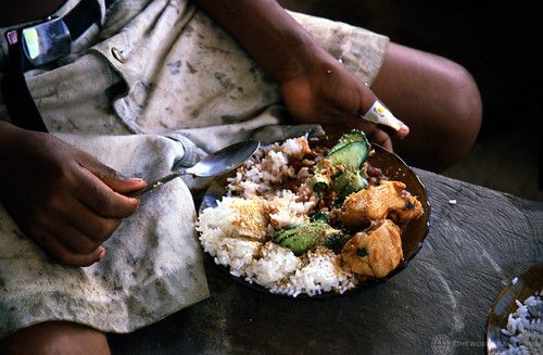 A typical meal for local inhabitants in the Amazon region