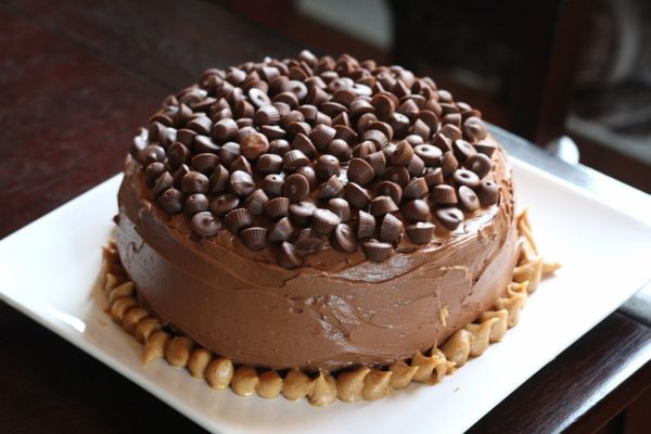 Chocolate Peanut Butter Cake
